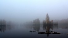 Herbstnebel / ***