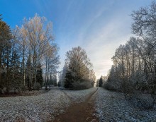 Trails in the park. / ***