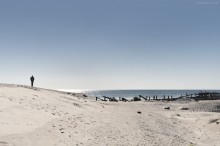 [seaside dream] / ***