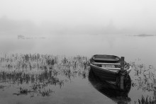 Silence / ***