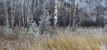 Weiß oder grau November / ***