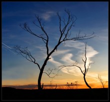 Sunset / ***