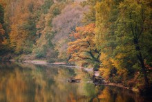 Autumn on Svislochi / ***