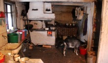 Polesskii hut / ***