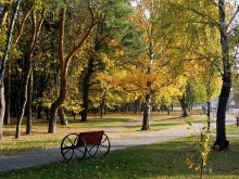 Autumn silence Park / ***