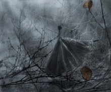 Forgotten doll ... / ...................