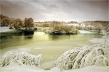 Zhorik in the snow / ...