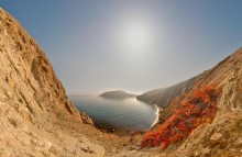 autumn day / ***