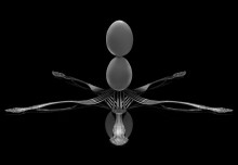 Ode egg / -------