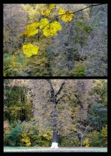&quot;Fotopazly. Modell zu bauen &quot; / .........