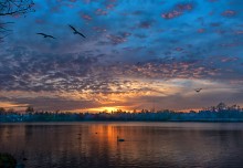 Sunset on Lake Gentofte / ***