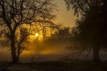 Autumn morning / ***
