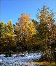 And this also fall / ***