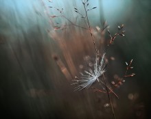 ..podhvatit wind .. / ....