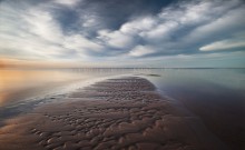 Wild beach / ***