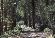 There, on unknown paths ... / ***