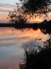 Sunset / ***