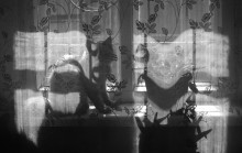 "Navel shadow on the fence" / ***