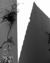 "Navel shadow on the fence" / /\/\/\