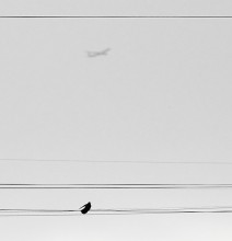 Flights in Dreams and in Reality / ***