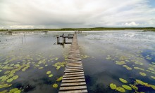 Lake series / ***
