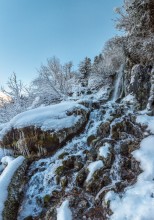 Icy creek. / ***