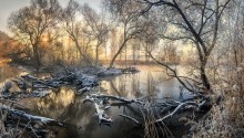 Frosty Winter / ***