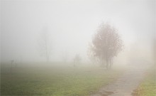 It's time to fog / ***
