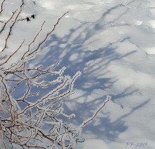 ... And tell fortunes the shadows ... / ***