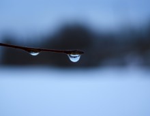 drop / ***