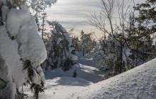 Under the weight of snow / ***