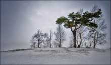 Snow swirls ... / ***