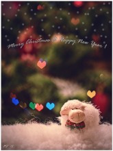 With coming !!! / ***