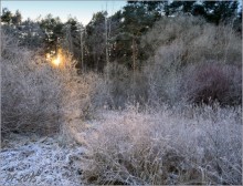 Licht, das Jahr / 27.12.2014