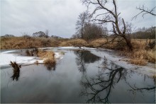 On golden marshes / ***