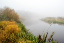 Nebel / ***