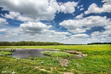 Wild Lake / ***