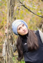 Herbst im Wald / ***