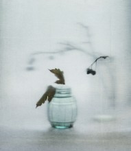 Cold winter / ...