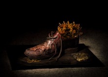 old shoe / ***