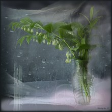 Melancholy / ***