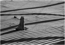 The island... / ...