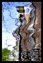 Coffee-Shop / Amsterdam