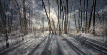 Petrie Isl. / Petrie Isl.