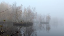 Fog / ***
