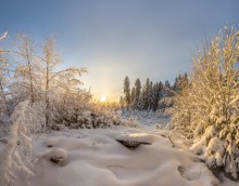 Winter view. / ***