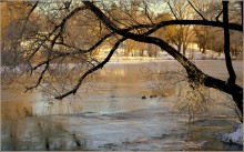 thaw / ***