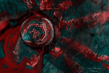 State aggression ... / ***