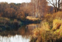Autumn / ***