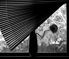 Asymmetry / ***